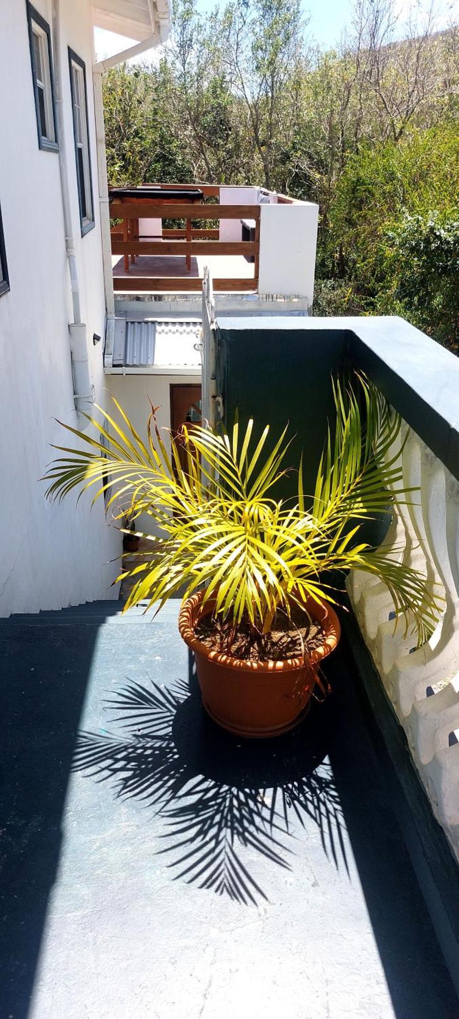 Apartment Joanna Rodney Bay Zimmer foto